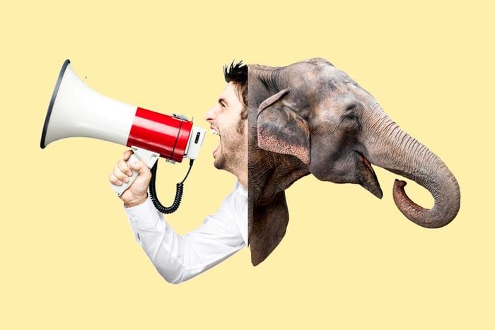 megaphone-elephant