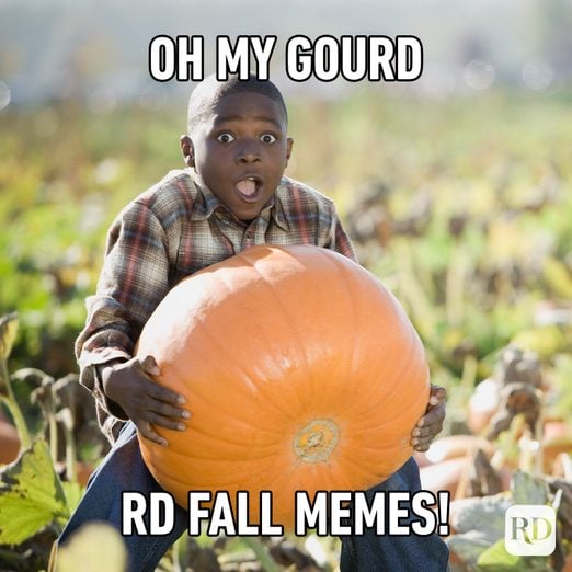 30 Hilarious Fall Memes That Perfectly Sum Up Autumn’s Humor