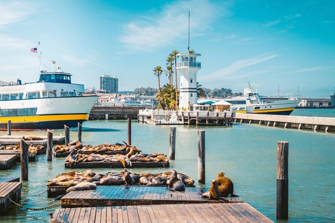 Famous Pier 39 with sea lions, San Francisco, USA