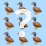 Duck puzzle image blurred with question mark superimposed